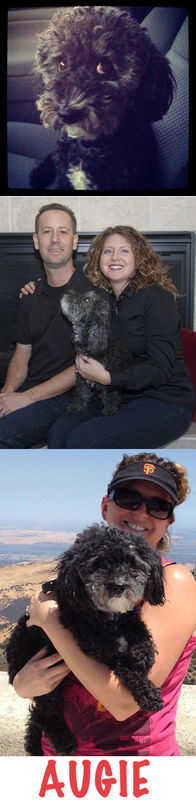 Augie
