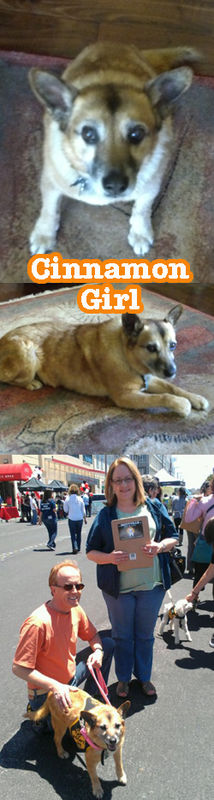 Cinnamon Girl