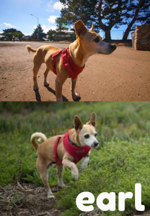 Earl