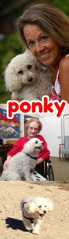 Ponky