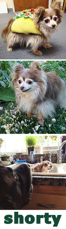 Shorty (aka Thumbelina)