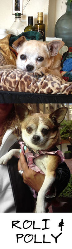 Roli & Polly