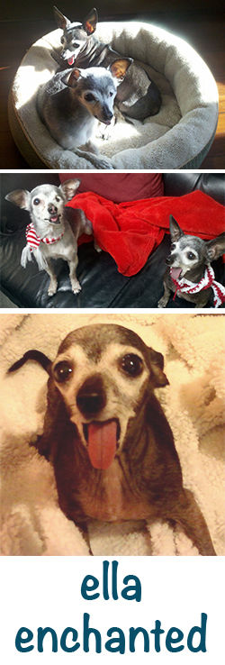 Ella Enchanted