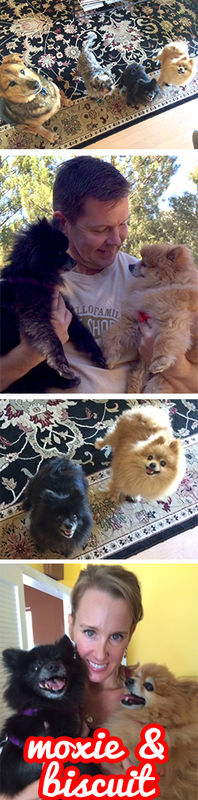 Moxie & Biscuit (aka Baby and Buddha)