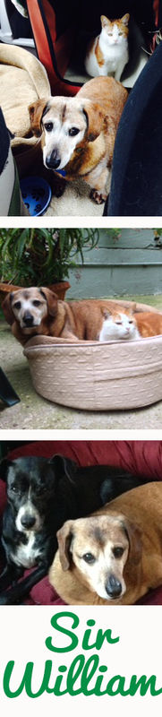 Sir William (a.k.a. Walter)