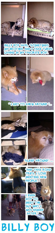 Billy Boy