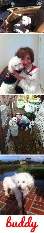 Buddy (a.k.a. Everett)