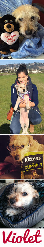 Violet a.k.a. Mona Lisa