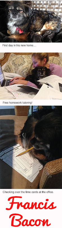 Francis Bacon a.k.a. Pokey