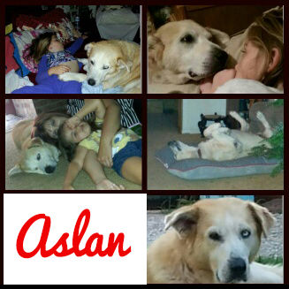 Aslan