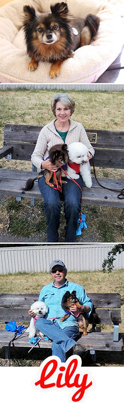 Lily (aka Trixie)