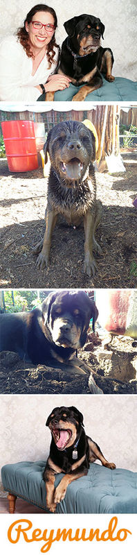 Reymundo