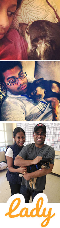 Lady (a.k.a. Clarissa)