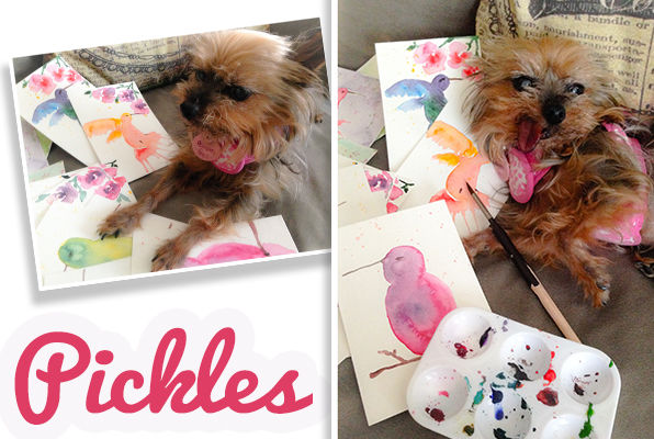 Pickles (aka Paquena)