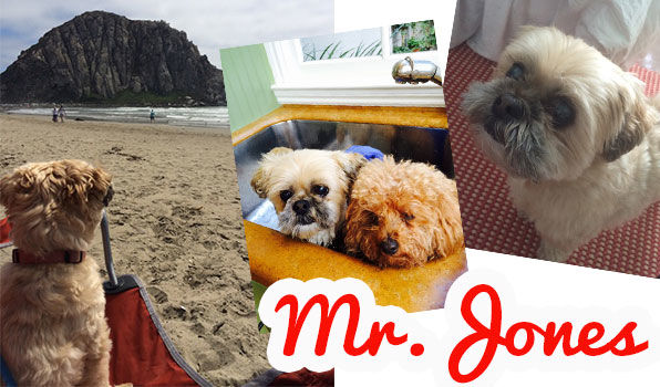 Mr. Jones