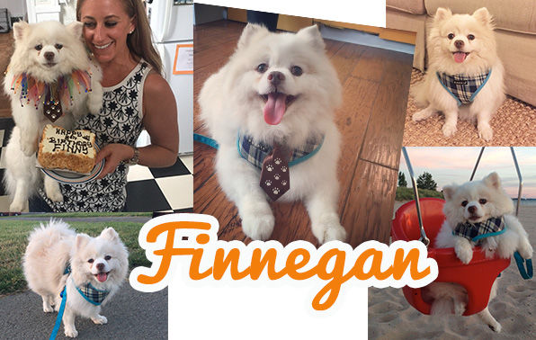 Finnegan