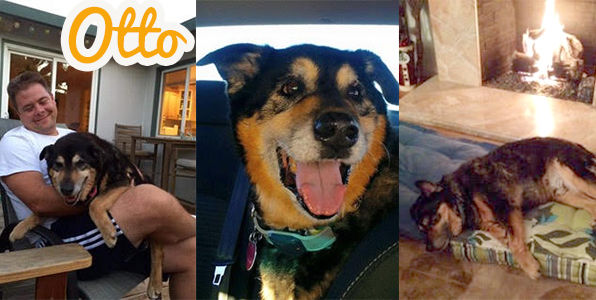 Otto