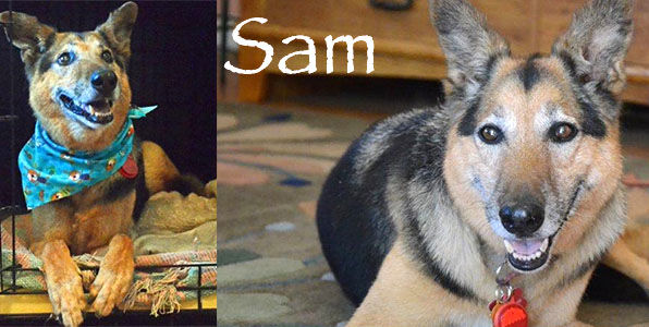 Sam aka Santana 3050