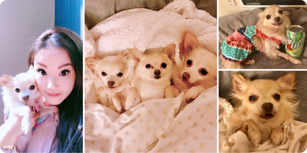 Maile (aka Chamomile)