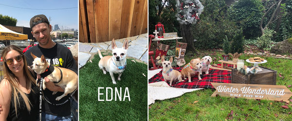 Edna (formerly Mrs. Garrett)