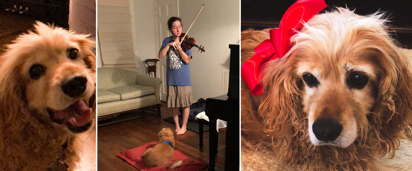 Winston (formerly Ritz)