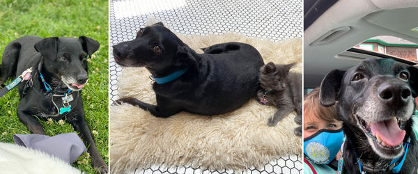 Alfie (aka Bartholomew)