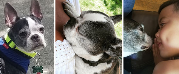 Benito (aka Ben Affleck)