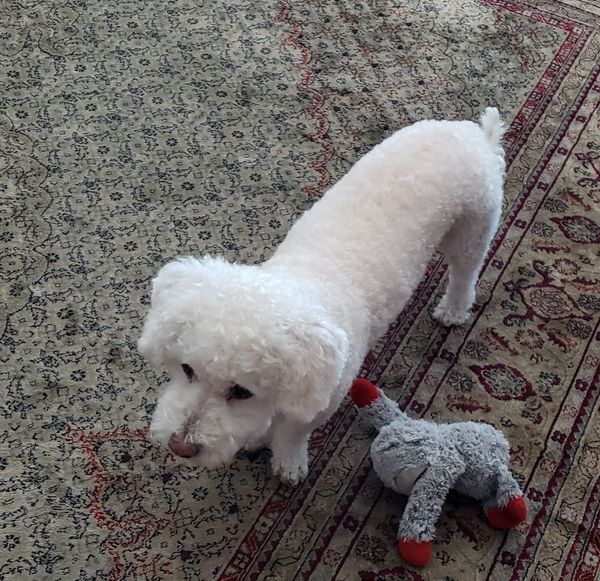 Shoshanna (fka Susan)