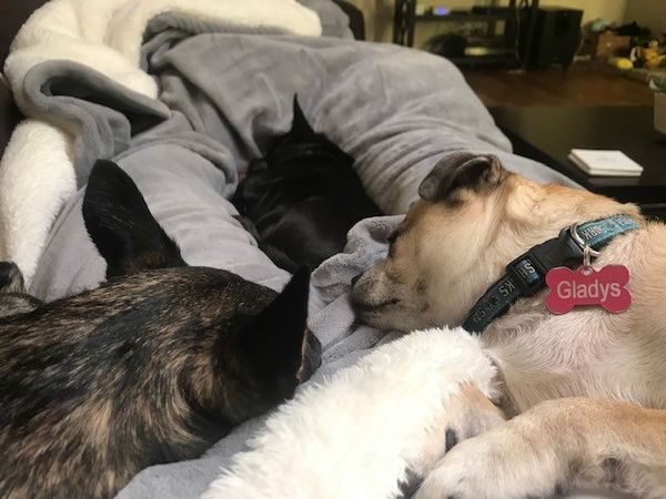 Gladys (fka Kleo), Phyllis (fka Starlite), Trudy (fka Roxanna), and Leo