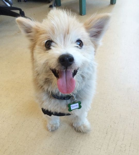 Leela “Lee Lee” Devine (fka Yummy)