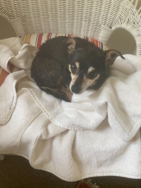 Camille’s Bath-time How funnn!