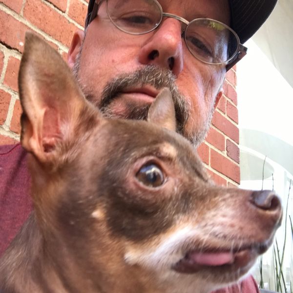 Teardrop, Stevie, Ethel, Goose & Pappy