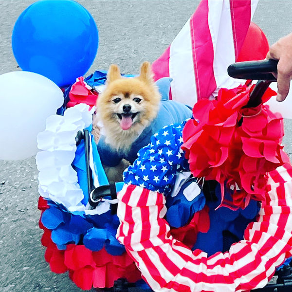 Fritz (fka Mr. Mustard)