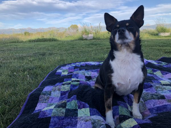 Miles (fka Kyle Chandler)