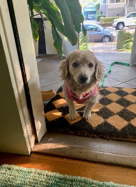 One of a Million Favorite Moments