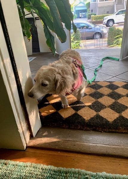 One of a Million Favorite Moments