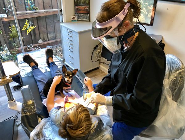 Kismet on Kelly Clarkson