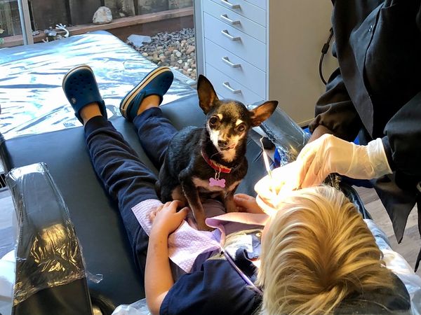 Kismet on Kelly Clarkson