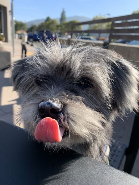 Happy aka Fenton Mitchell Tafolla