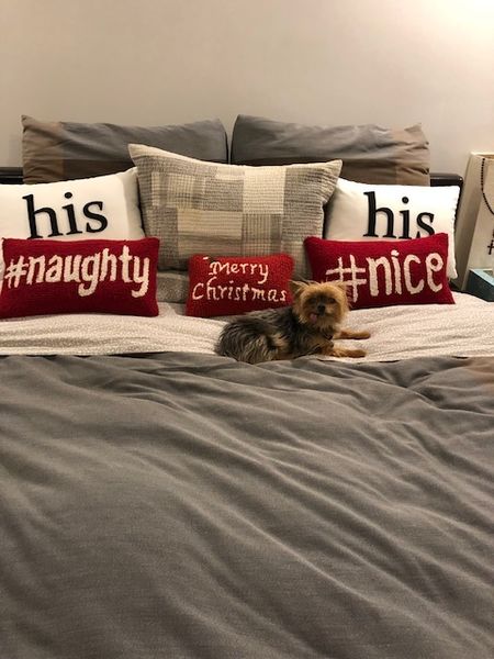 Maggie's first Christmas with us