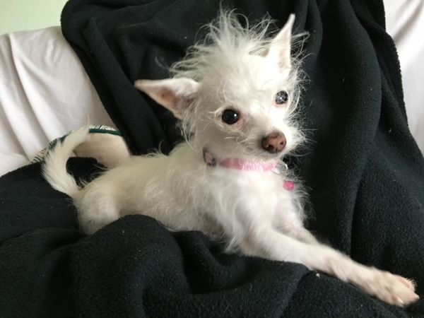 Macy & Lulu (fka Beverly)