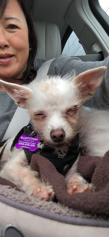 Macy & Lulu (fka Beverly)