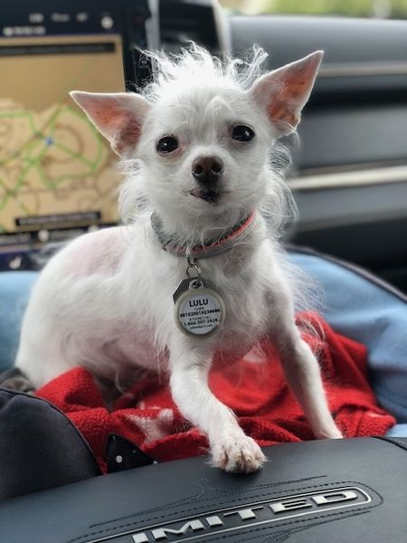 Macy & Lulu (fka Beverly)