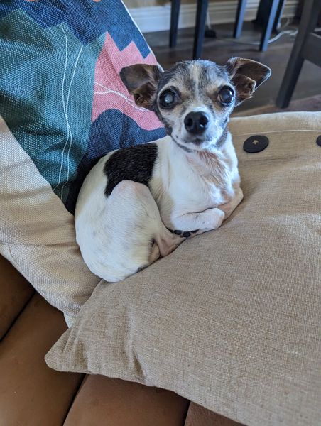 Mary Jane (fka Violet)