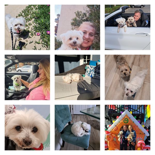 Bentley (fka Webber)