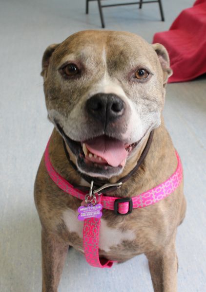 Betty (fka Mochi 3978)