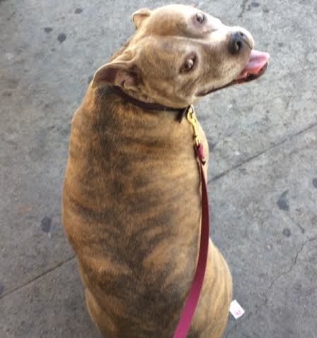 Betty (fka Mochi 3978)