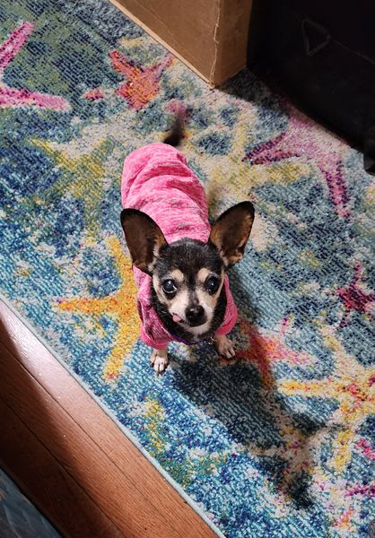 Amelia (fka Esperanza)