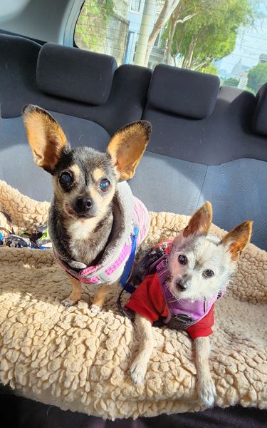 Amelia (fka Esperanza)