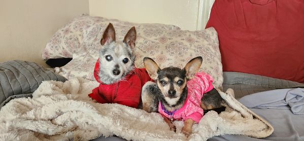 Amelia (fka Esperanza)